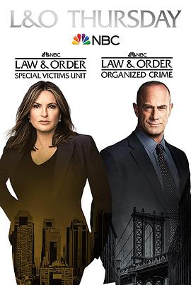 法律与秩序：特殊受害者第二十三季第03集