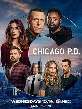 芝加哥警署第八季第14集