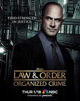 法律与秩序：组织犯罪第四季第06集