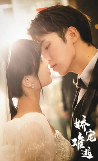 娇妻难逃61-80集(大结局)