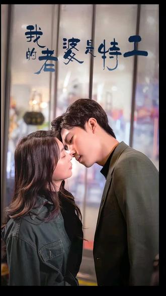 我的老婆是特工21-40集