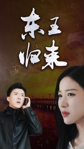 东王归来65-82集(大结局)