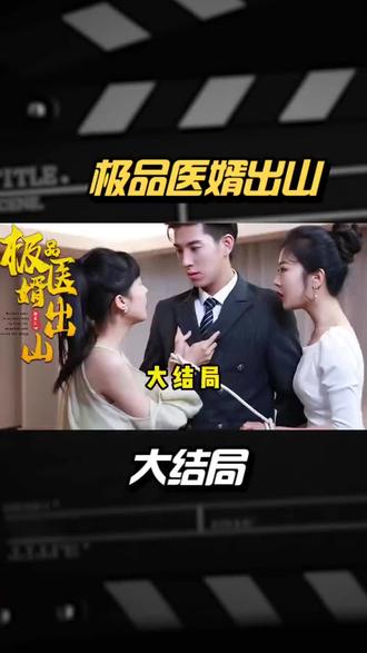 极品医婿出山11-20集