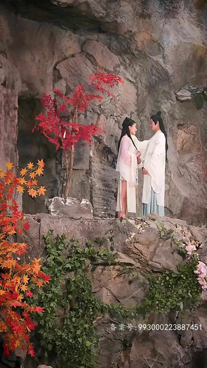 长生帝婿21-40集