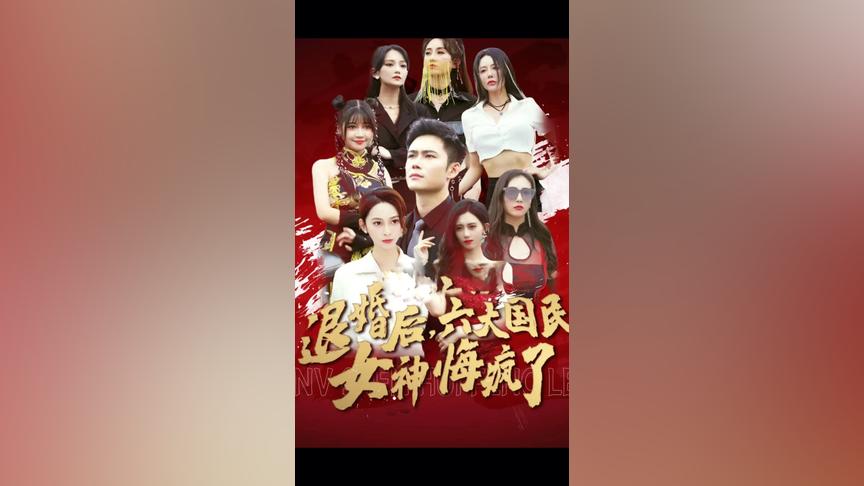 退婚后六大国民女神悔疯了41-60集