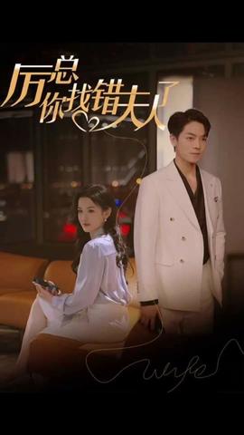 厉总，你找错夫人了全集(大结局)