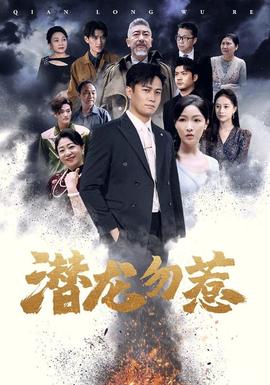 潜龙勿惹全集(大结局)