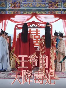 王爷的天降毒妃全集(大结局)