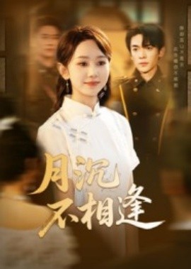 月沉不相逢(全集)
