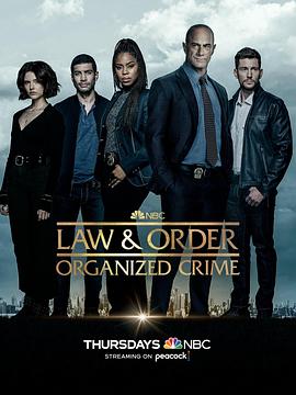 法律与秩序：组织犯罪 第三季第01集